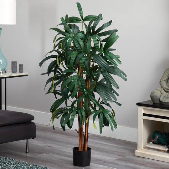 4ft. Potted Raphis Palm Tree